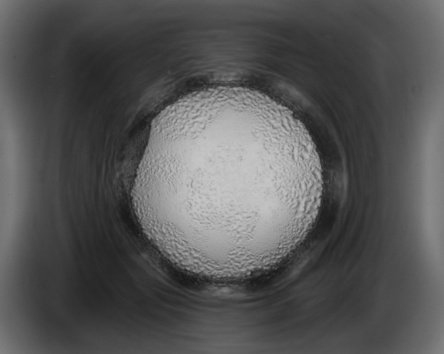 X0000083550557200703021654