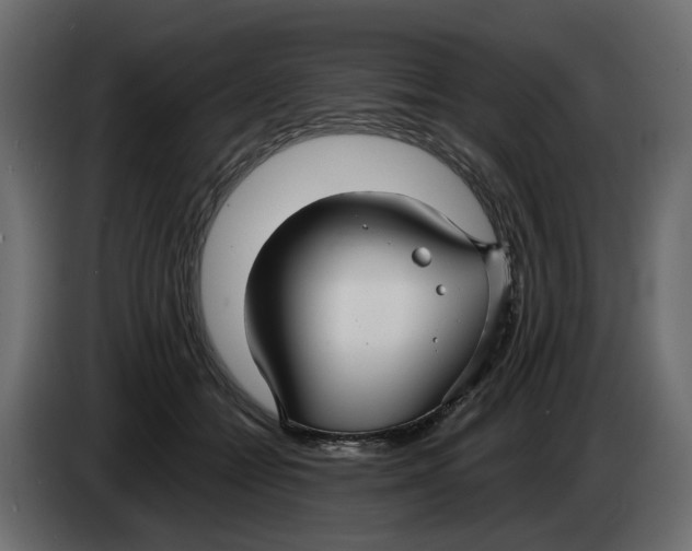 X0000083550558200703021654