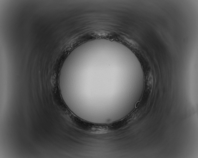 X0000083550559200703021654