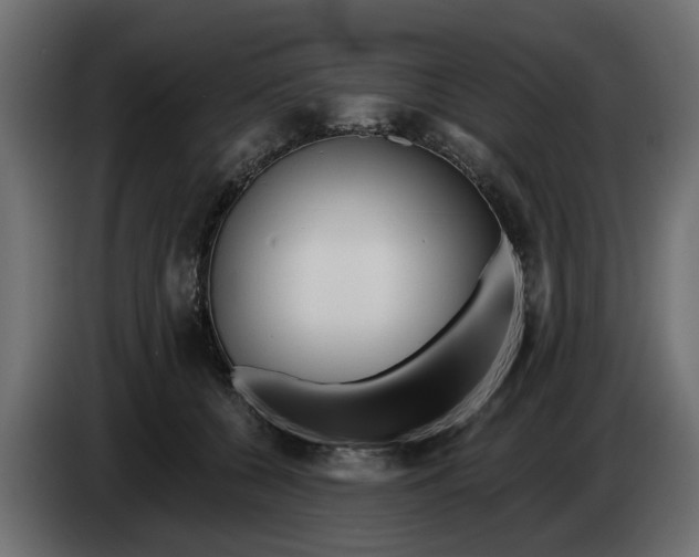 X0000083550560200703021654