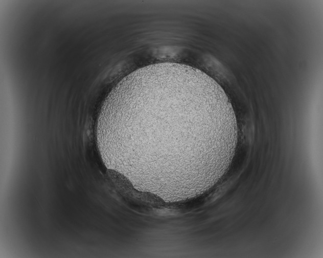 X0000083550561200703021654