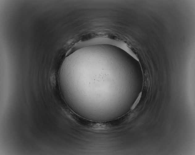 X0000083550562200703021654