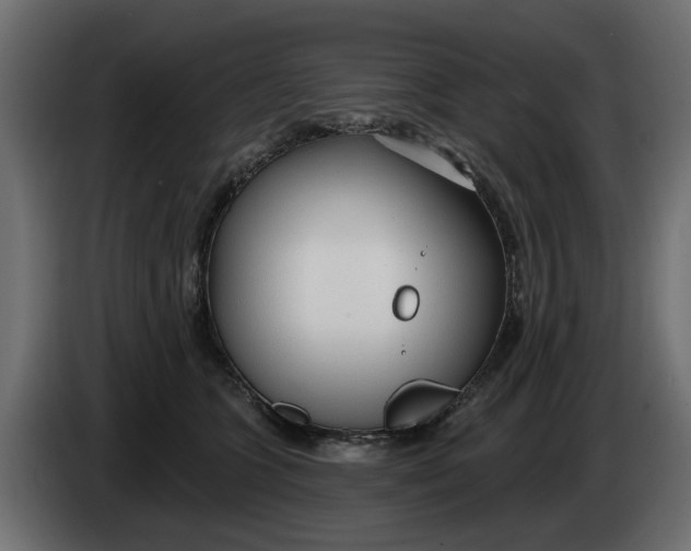 X0000083550563200703021654