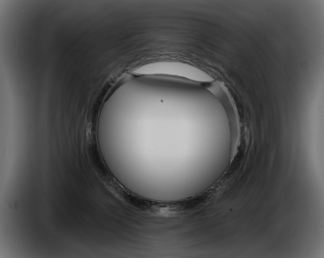 X0000083550564200703021654