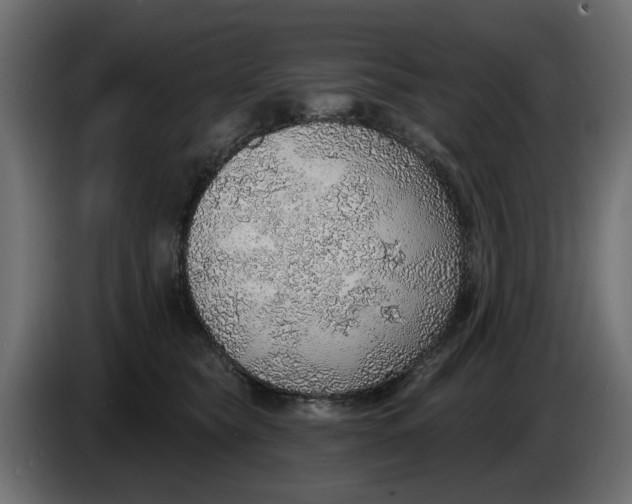 X0000083550565200703021654