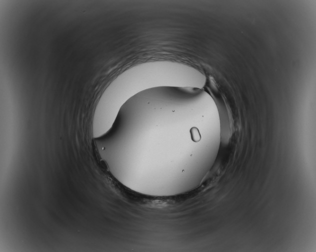 X0000083550566200703021654