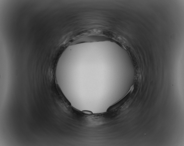 X0000083550568200703021654