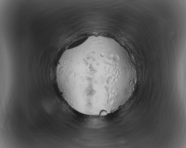 X0000083550569200703021654