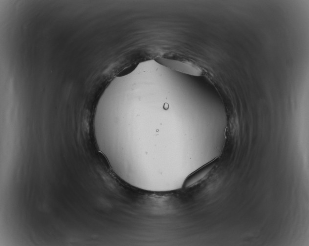 X0000083550570200703021654