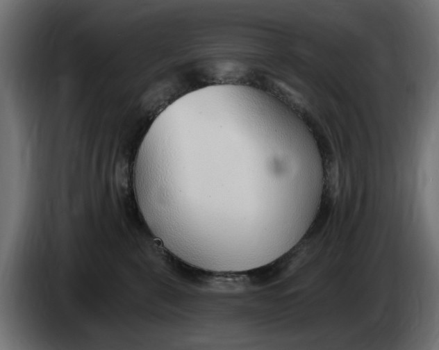 X0000083550571200703021654