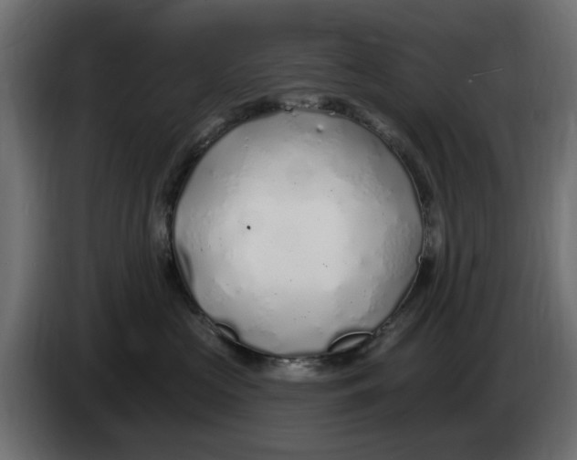 X0000083550573200703021654
