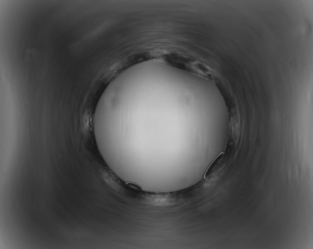 X0000083550574200703021654