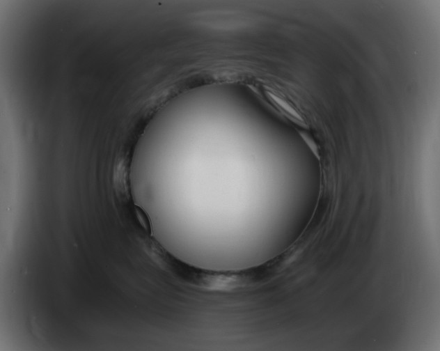 X0000083550575200703021654