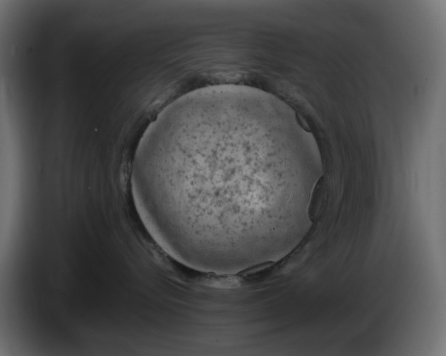 X0000083550576200703021654