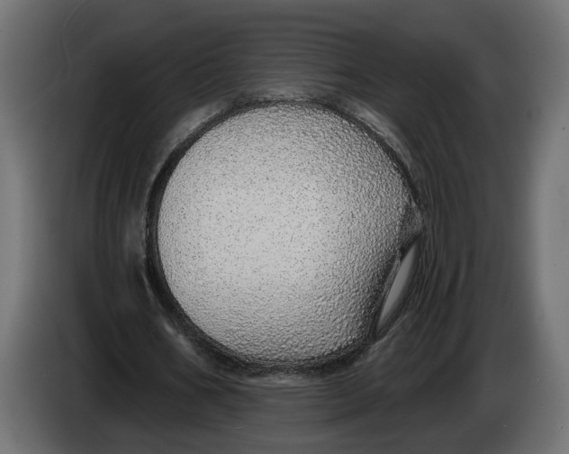 X0000083550578200703021653