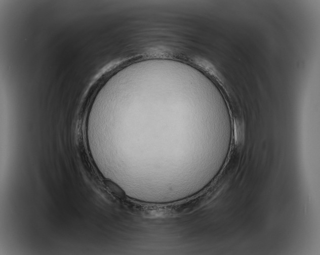 X0000083550579200703021653