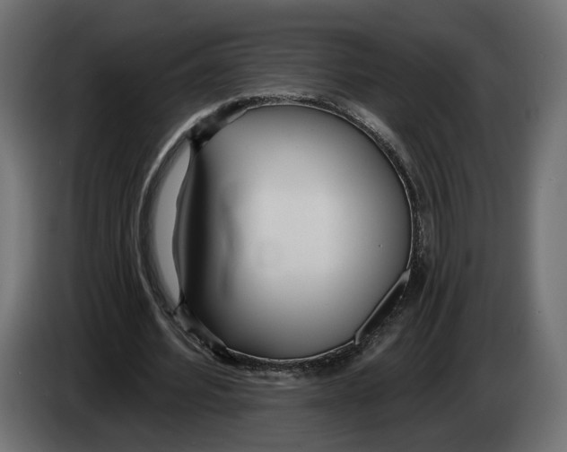 X0000083550580200703021653