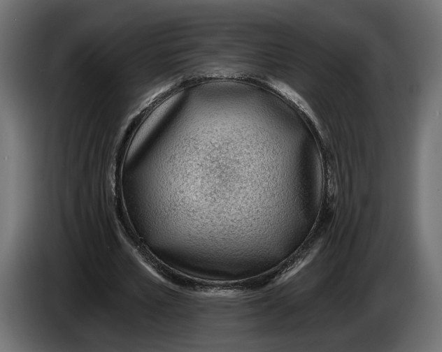 X0000083550581200703021653