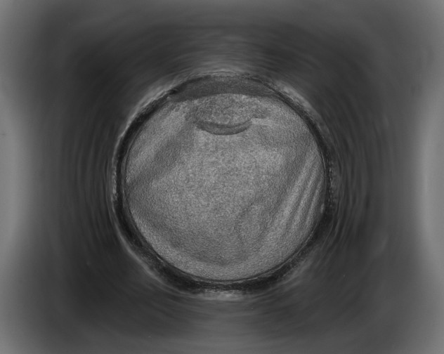 X0000083550582200703021653