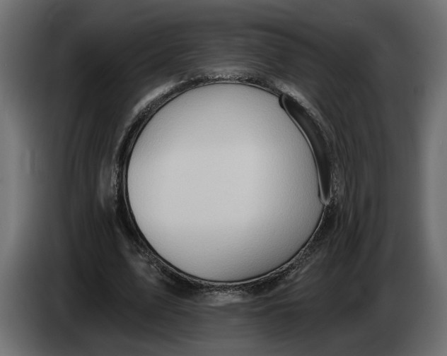 X0000083550583200703021653