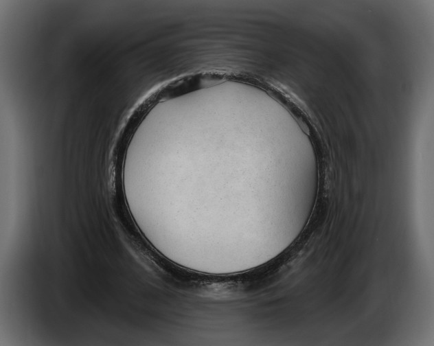 X0000083550584200703021653
