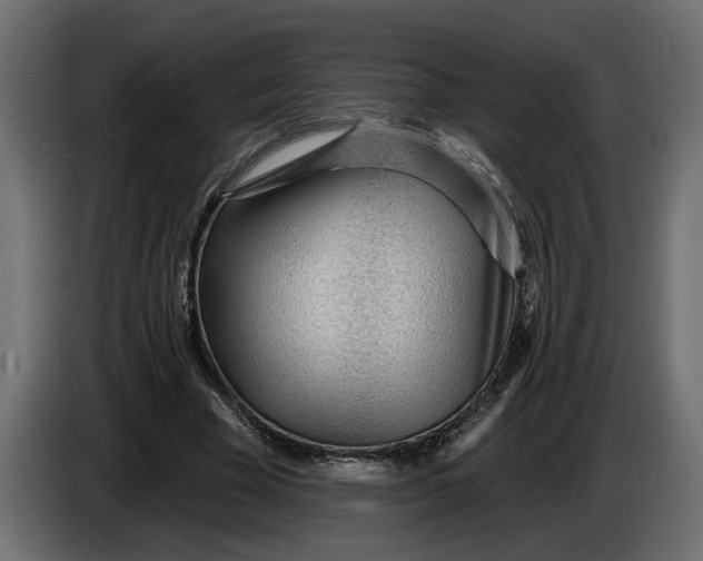 X0000083550585200703021653