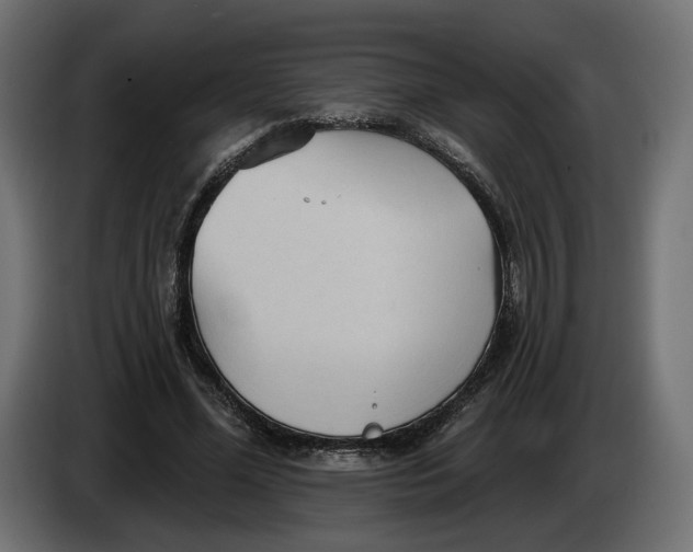 X0000083550588200703021653