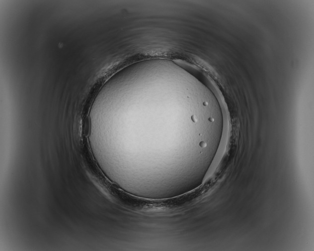 X0000083550589200703021653