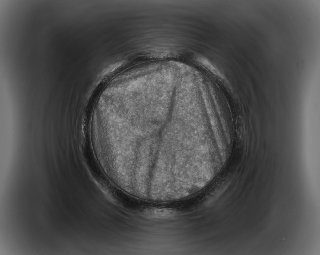 X0000083550590200703021653