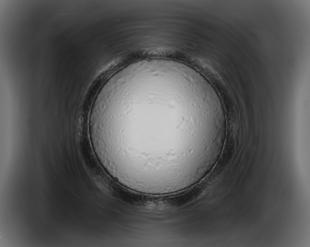 X0000083550591200703021653
