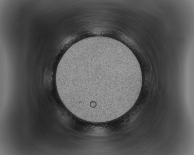 X0000083550592200703021653