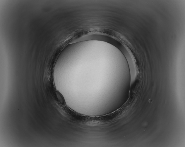 X0000083550593200703021653