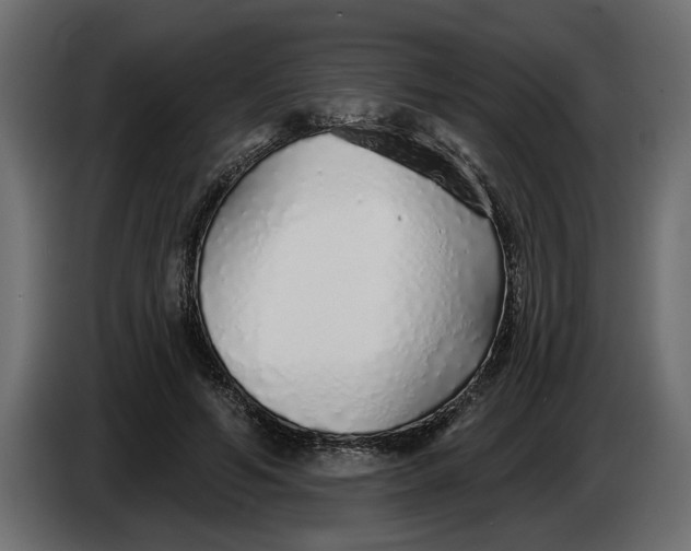 X0000083550594200703021653