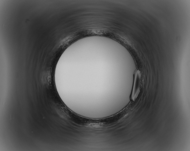 X0000083550595200703021653