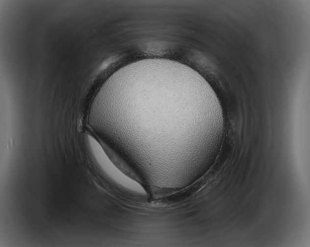 X0000083550596200703021653