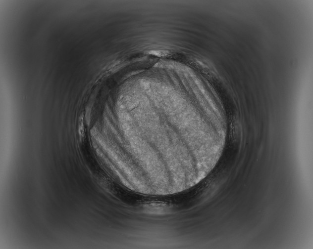X0000083550598200703021653