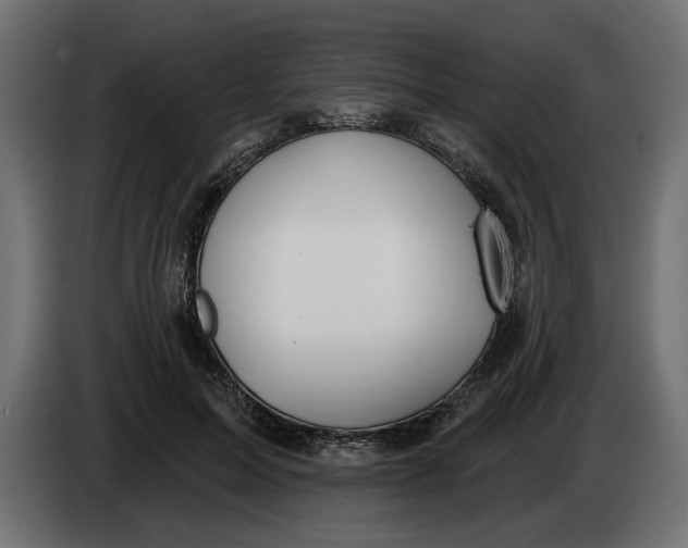 X0000083550599200703021653