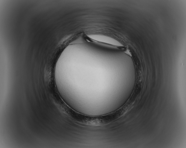 X0000083550600200703021653