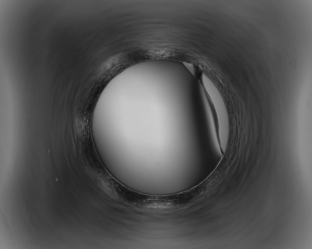 X0000083550601200703021653