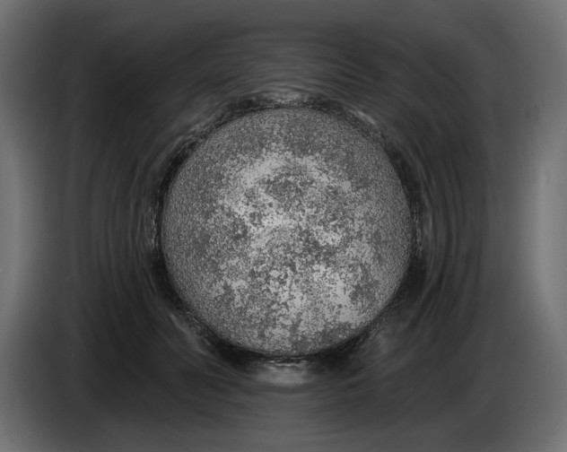 X0000083550606200703021653