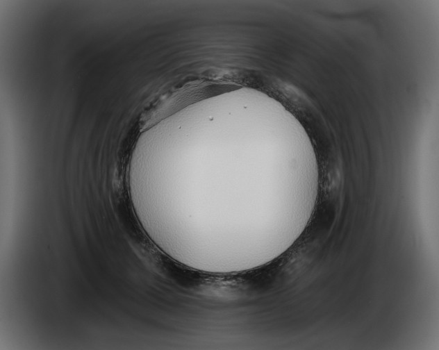 X0000083550607200703021653