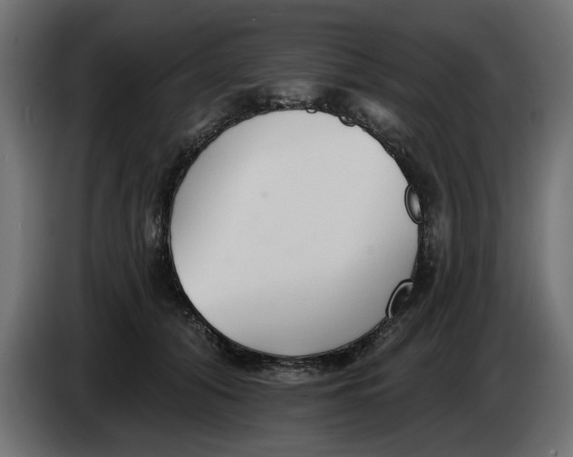 X0000083550608200703021653