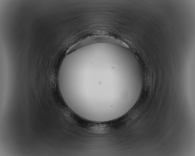 X0000083550609200703021653