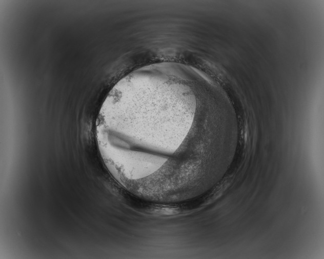 X0000083550610200703021653
