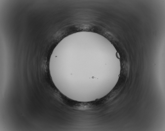 X0000083550612200703021653