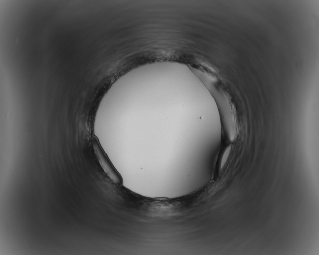 X0000083550613200703021653