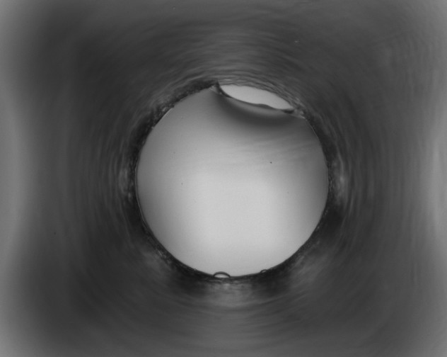 X0000083550619200703021652