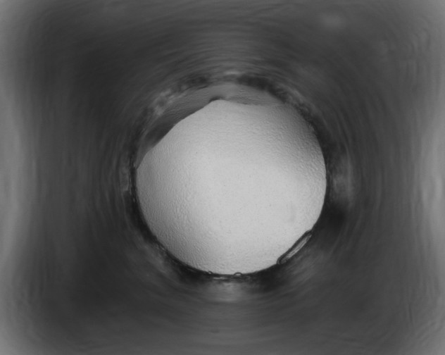 X0000083550620200703021652