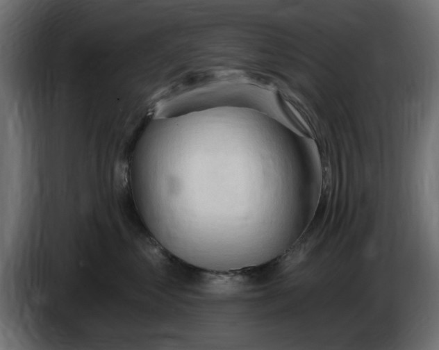 X0000083550621200703021652