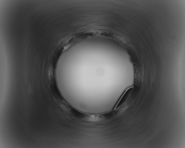 X0000083550623200703021652